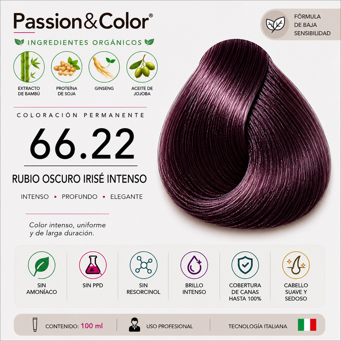 66.22 RUBIO OSCURO VIOLETA INTENSO. Passion & Color
